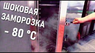 Шоковая заморозка из Китая Экстренное замораживание до -80°C