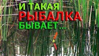 И такая РЫБАЛКА бывает...