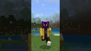 I added Ronald McDonald to Minecraft