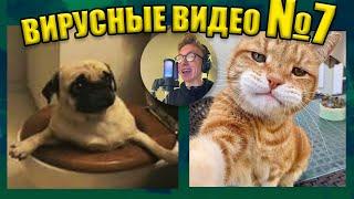 ВИРУСНЫЕ ВИДЕО / Озвучка смешных видео №7