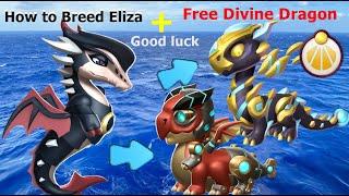 How to Breed Eliza Dragon-Dragon Mania Legends | How to get Divine Collector Dragon | DML