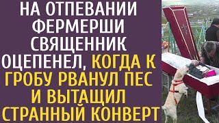 На отпевании фермерши священник оцепенел, когда к гробу рванул пес и вытащил странный конверт