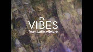 Feel the vibes of Valencia