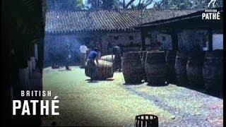 Sherry Barrels - Spain (1969)