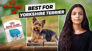 Royal Canin Yorkshire Terrier Review - The Best Dog Food for Your Yorkshire Terrier!