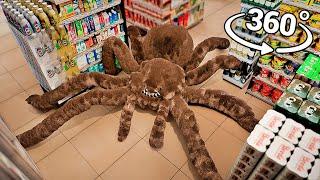 360° Spiders appear in the Supermarket!