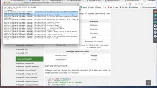 MongoDb Tutorial - 2 :  How to Start Mongo server and client