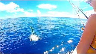 AWESOME offshore fishing ACTION! MAHI MAHI EVERYWHERE!!