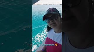 #live #butiful #sea #redseaegypt #travel #redsea #любовь #travel #trends #shortvideo #shots