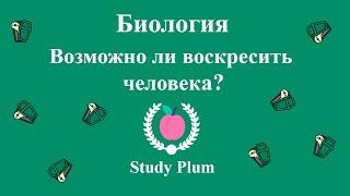 Можно ли воскресить человека? | Биология