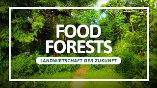 Können Food Forests die Welt verändern?