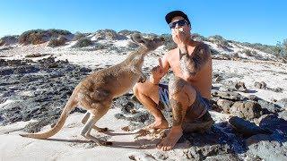 STRANDED ON REMOTE ISLANDS Finding Rare Mud Crab (Friendly Kangaroo) - Ep 89