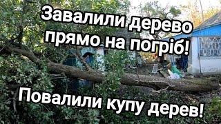 Купив хату в селі! Завалили дерево прямо на погріб! Прибираю занедбану ділянку! Повалили купу дерев!