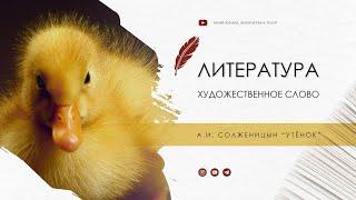 А.И. Солженицын "Утёнок"