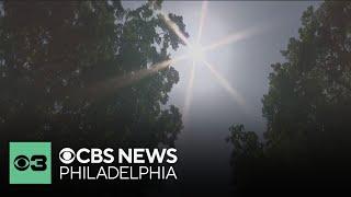 Bartram's Garden teams up with city to extend Philadelphia's tree canopy, fight climate change