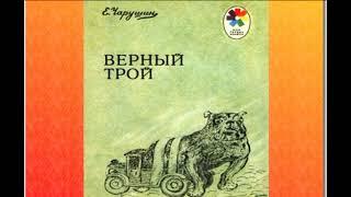 Верный Трой —Евгений Чарушин — читает Павел Беседин