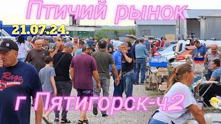 Голуби и цены Птичий рынок г Пятигорск -ч2