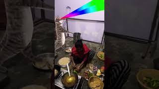 Billi  boli  Meow  funny  cute  cat  dance short viral
