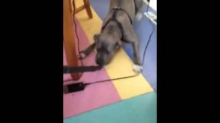 Hannah vacuum