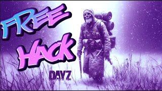 DayZ Hack | ESP & No Recoil | Free Access | Undetected Features | Download 2025