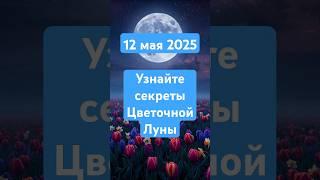 Цветочная Луна 12 мая 2025 в Скорпионе: ЧТО ПОТЕРЯЕТЕ или НАЙДЕТЕ в этот самый мощный день года?
