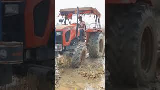 kubota 5502 7fut rotavetr fild king.. # mtai.. patling