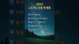 강아지 스트레스 받을때 행동 #강아지 #명상 #명언 #삶 #삶의지혜 #좋은글 #좋은글귀 #인생 #인생명언 #인생조언 #아침 #아침묵상 #건강 #부자 #자기계발 #명상 #학습