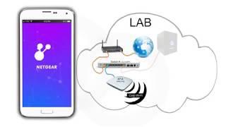 How to Setup a Basic Network | NETGEAR Insight