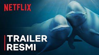 Our Oceans | Barack Obama | Trailer Resmi | Netflix