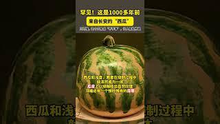唐朝的西瓜长这样！ 这是1000多年前，来自长安的#西瓜 。#唐朝 #趣说文物