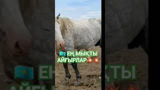 ЕҢ МЫҚТЫ АЙҒЫРЛАР