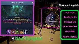 Black Desert Mobile -Everfrost Murrowak Labyrinth Tips