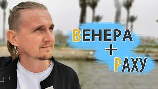 СОЕДИНЕНИЕ ВЕНЕРА РАХУ в карте | Дмитрий Пономарев