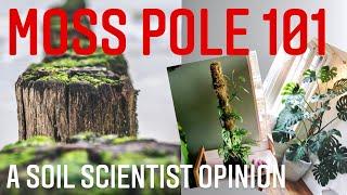 WHY DO MOSS POLES WORK FOR PLANTS? THE SCIENCE BEHIND THE TOTEM! WHICH MOSS POLE  DESIGN IS THE BEST