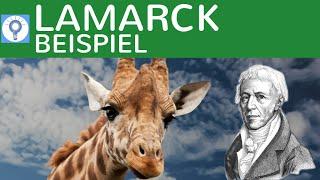 Evolutionstheorie von Lamarck - Beispielaufgabe Giraffen | Evolution 5