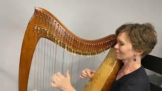 Wonderwall by Oasis-Harp Cover