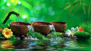 Relaxing Piano Music Bamboo Water Fountain, Sleep Music, Relaxing Music, Meditation Music