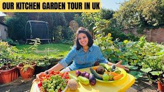 Tour of Our Kitchen Garden in UK  | Vegetable Garden Tour | Harvesting from Kitchen Garden