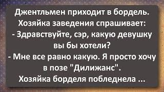 Почему Поза «Дилижанс» Самая Неприличная! Сборник Самых Свежих Анекдотов! Юмор!