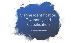 Marine Identification:  Taxonomy and Classification