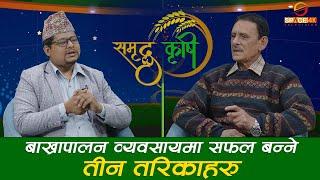 तिनथाना काठमाडौंका विष्णु कार्की कसरी सफल हुदैछन् बाख्रापालनमा ? Samriddha Krishi || Bishnu Karki ||