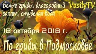 По грибы в Подмосковье 18 октября 2018 гБелые грибы, благородный закат, студеная вода