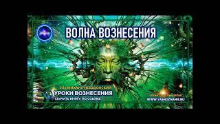  УРОКИ ВОЗНЕСЕНИЯ |  Урок 2 |  Волна вознесения | Эль Михаил Небодонский | СЕлена | Эзотерика |