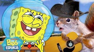 Bob Esponja em TERRA FIRME por 10 Minutos Seguidos | Bob Esponja em Português