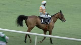 MAUGHREEN set for Cheltenham Festival after hurdles win | Racing TV