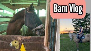 Barn Vlog! -Hanging With Johnny and Riding Lesson-