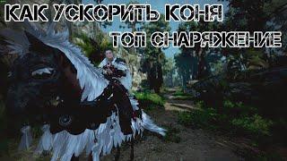 КАК УСКОРИТЬ КОНЯ И КАКОЕ СНАРЯЖЕНИЕ НУЖНО | Black Desert