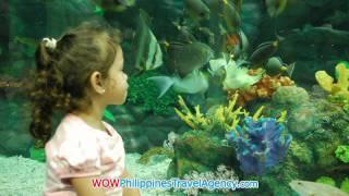 Manila Ocean Park - Manila Hotels - WOW Philippines Travel Agency