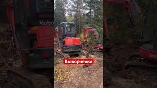 КОРЧЕВАНИЕ ПНЕЙ ТЯЖЕЛОЙ ТЕХНИКОЙ #дом #shorts #kubota #экскаватор #выкорчевкапней #jcb #техника