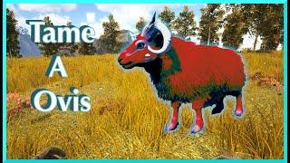 How to Tame an Ovis in Ark Survival Evolved